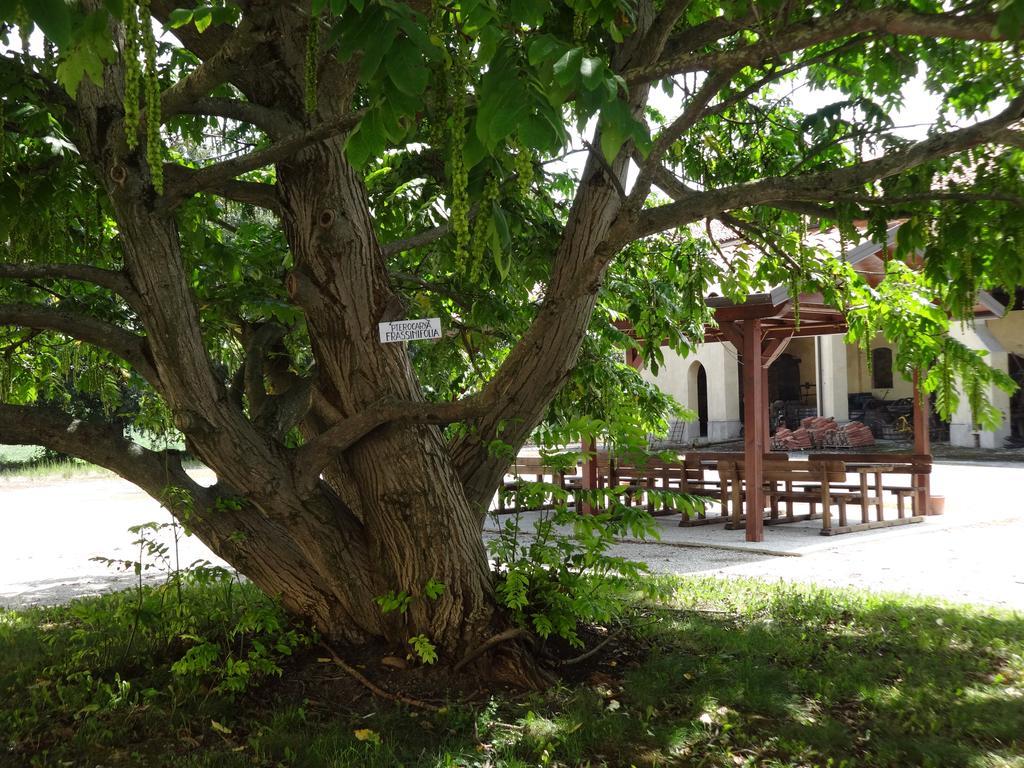 Agriturismo Rivieraoglio Piadena Exterior foto